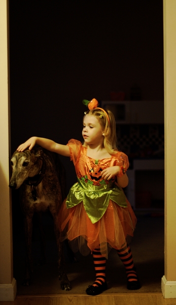 Princess and Her Steed Princess and Her Steed