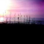 First Light