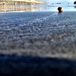 20120907-082308.jpg