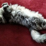 20121003-124814.jpg